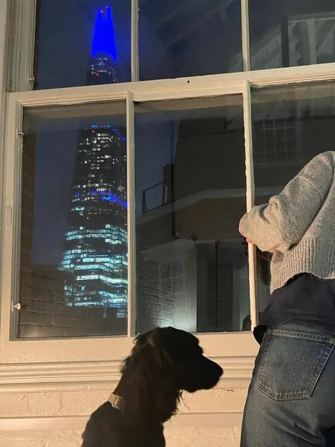 Milo the dog looking out at the Shard at night