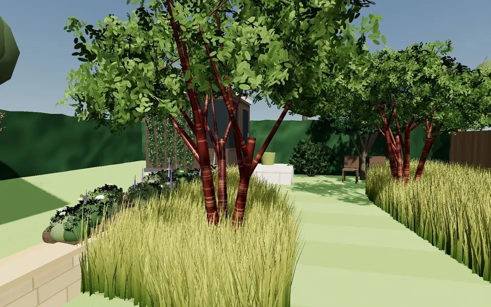 Looking from the gate along the mown path, through two multi-stemmed trees towards the cabin